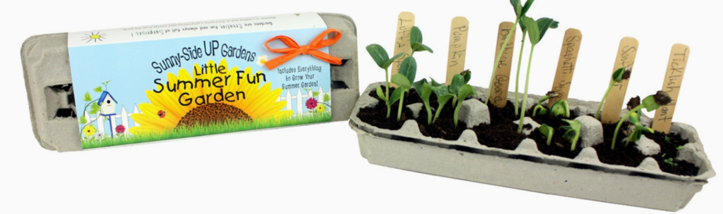Little Summer Fun Garden Grow Kit