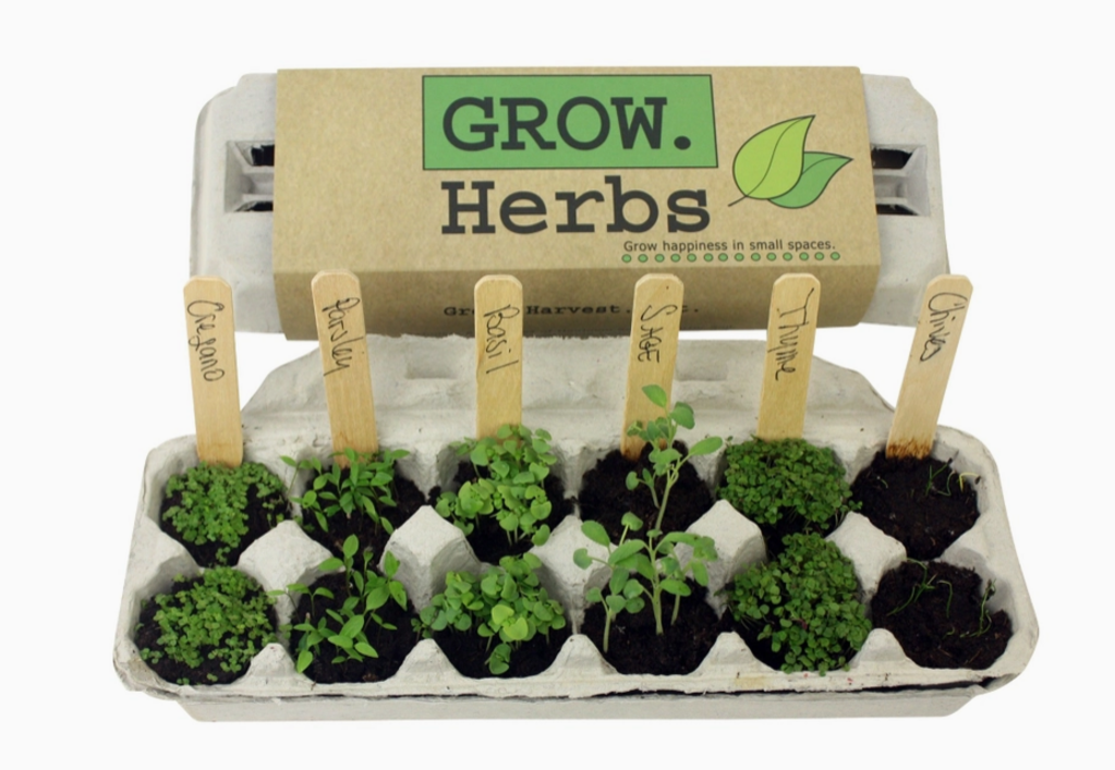 Herb Garden Kit