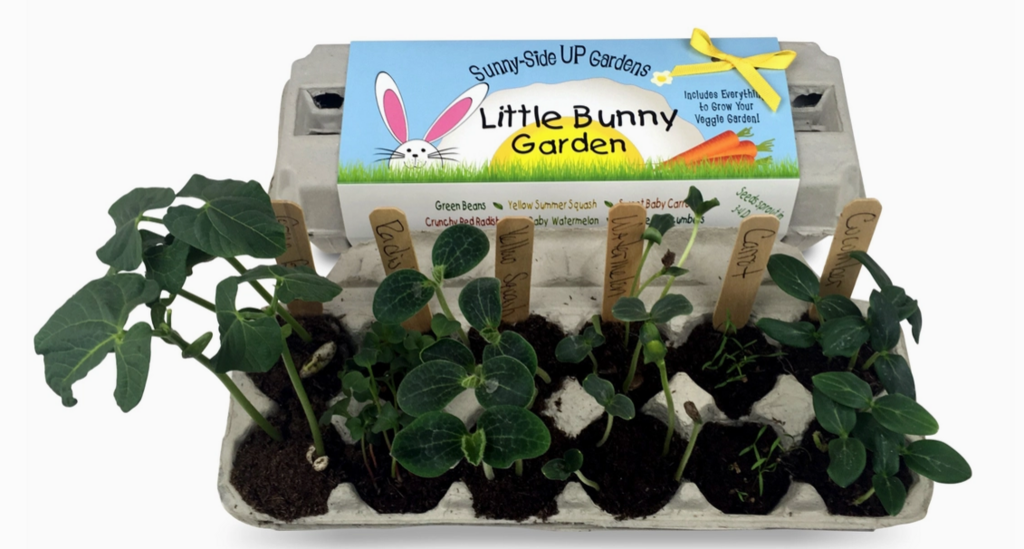Little Bunny Garden Kit