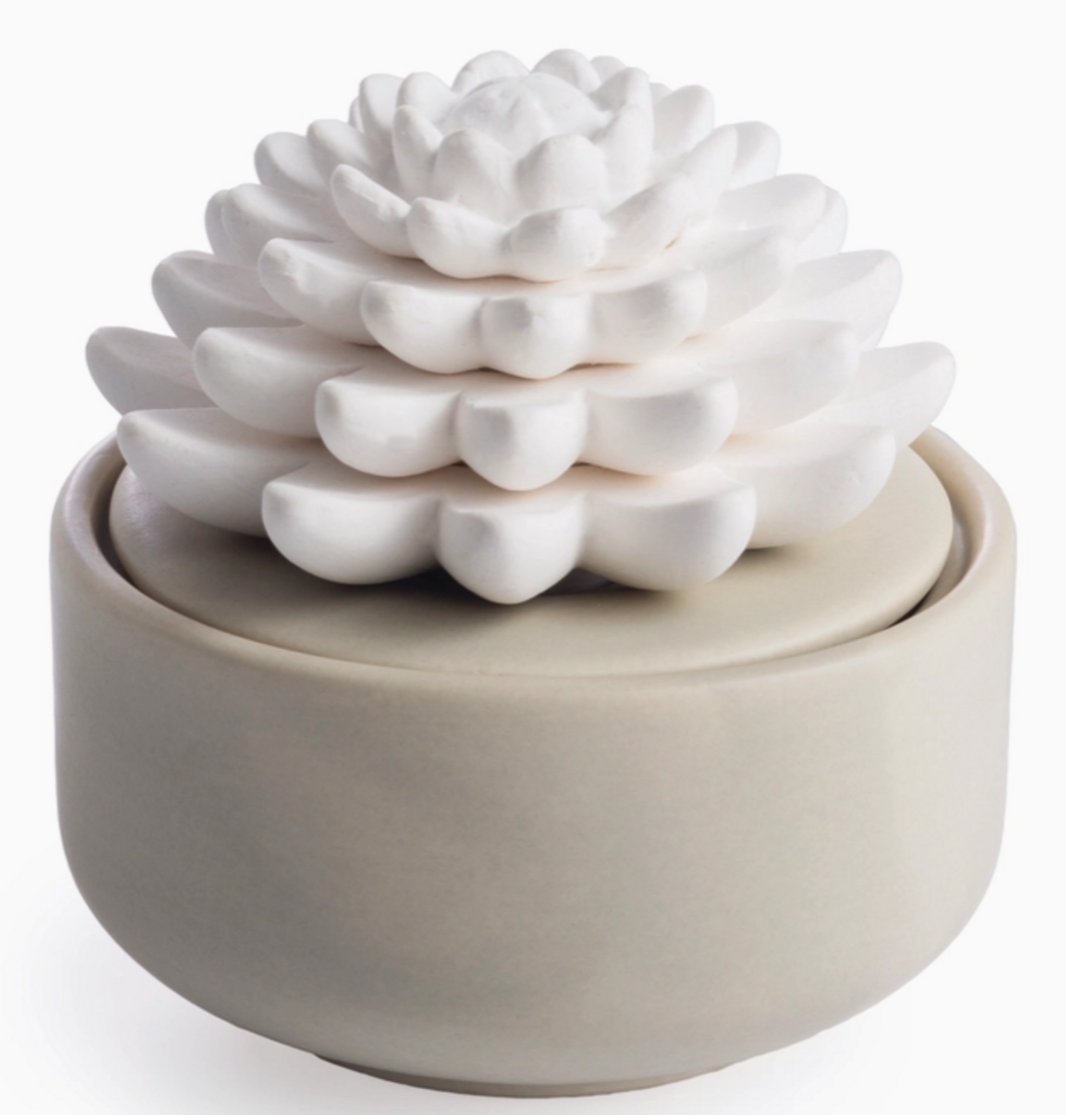 Succulent Porcelain Diffuser