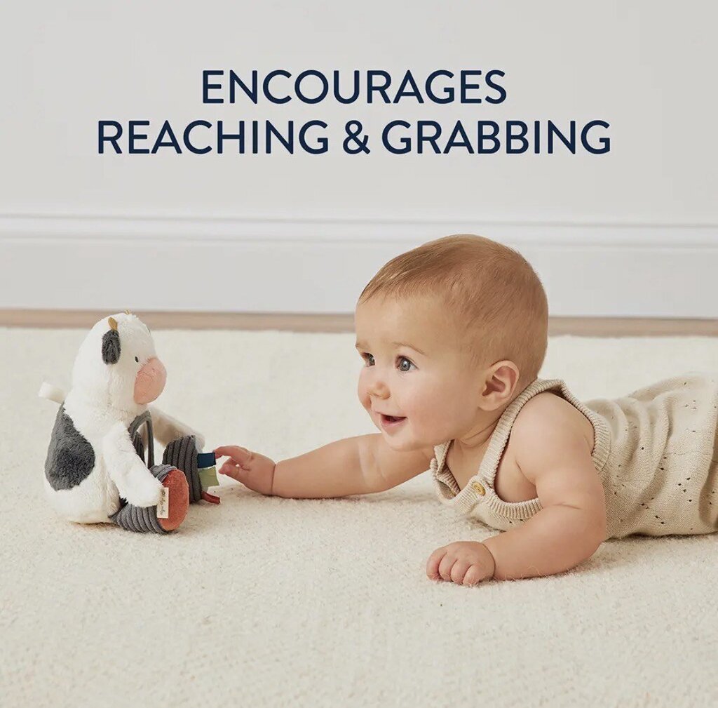 Itzy Ritzy Cow Mirror