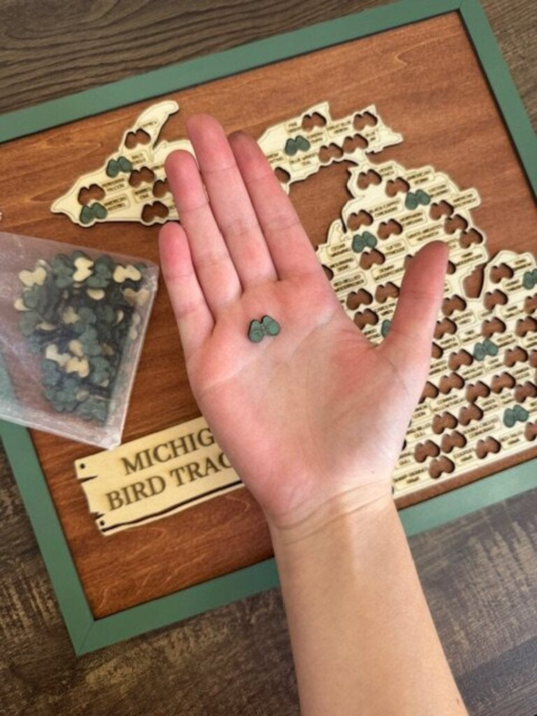 Michigan Bird Tracker Map