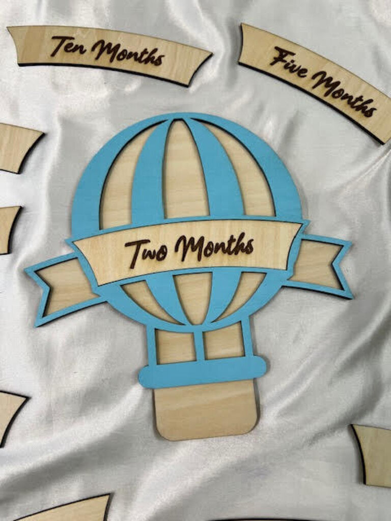 Blue Hot Air Balloon Baby Monthly Milestone Set