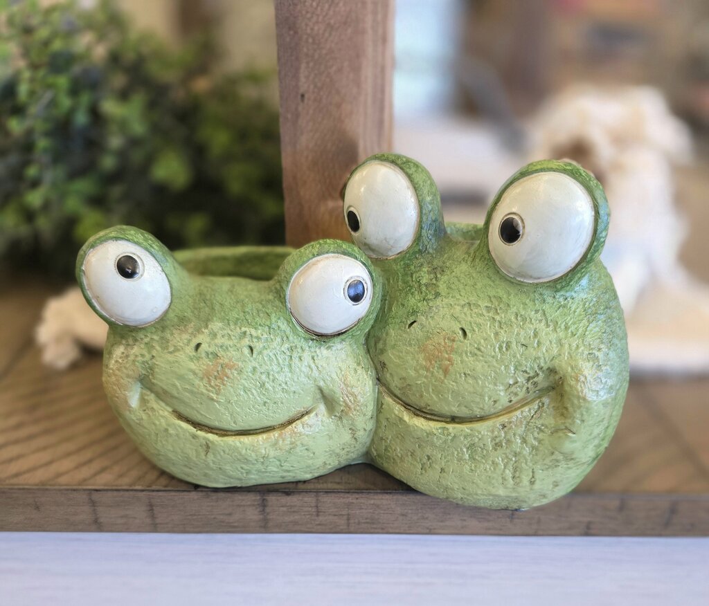 Double Frog Planter