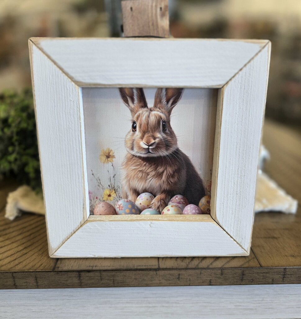 SM Framed Bunny & Eggs