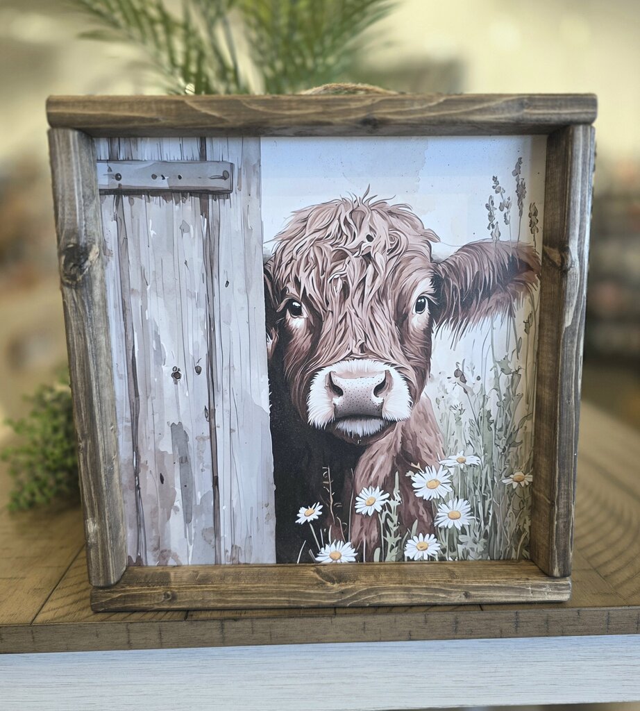 Highlander Peeking Gate