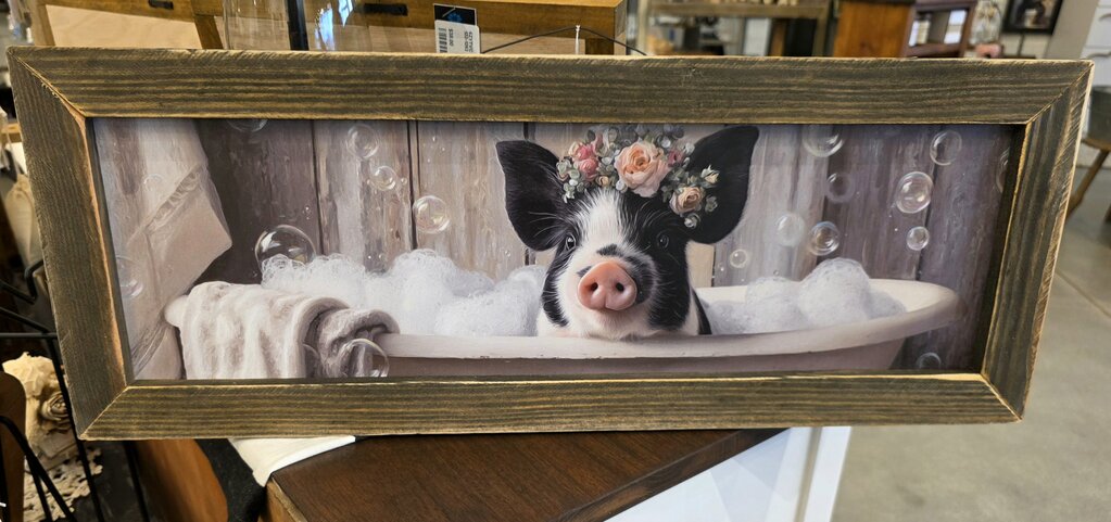 Sweet Pig in Bath