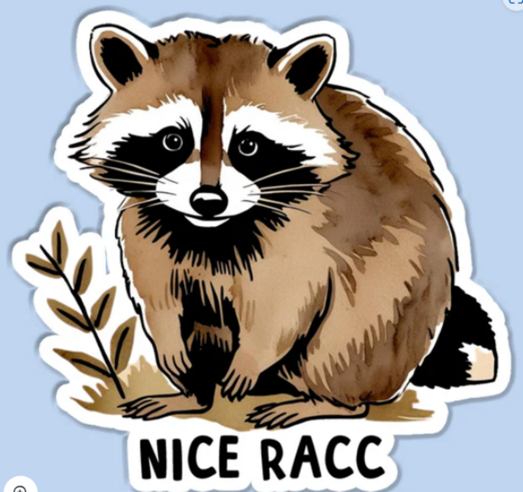 Nice Racc Sticker