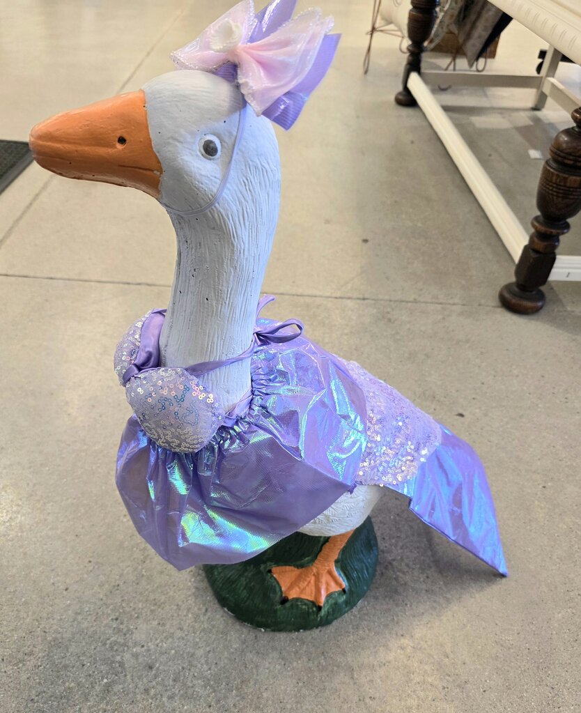 Mermaid Goose Outfit