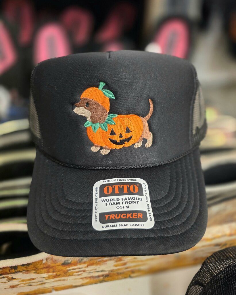 Pumpkin Dachshund Embroidered Hat