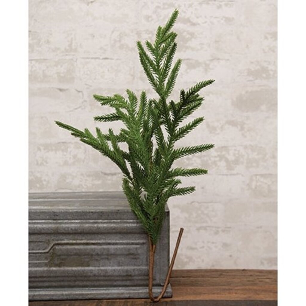Norfolk Soft Touch Pine Pick