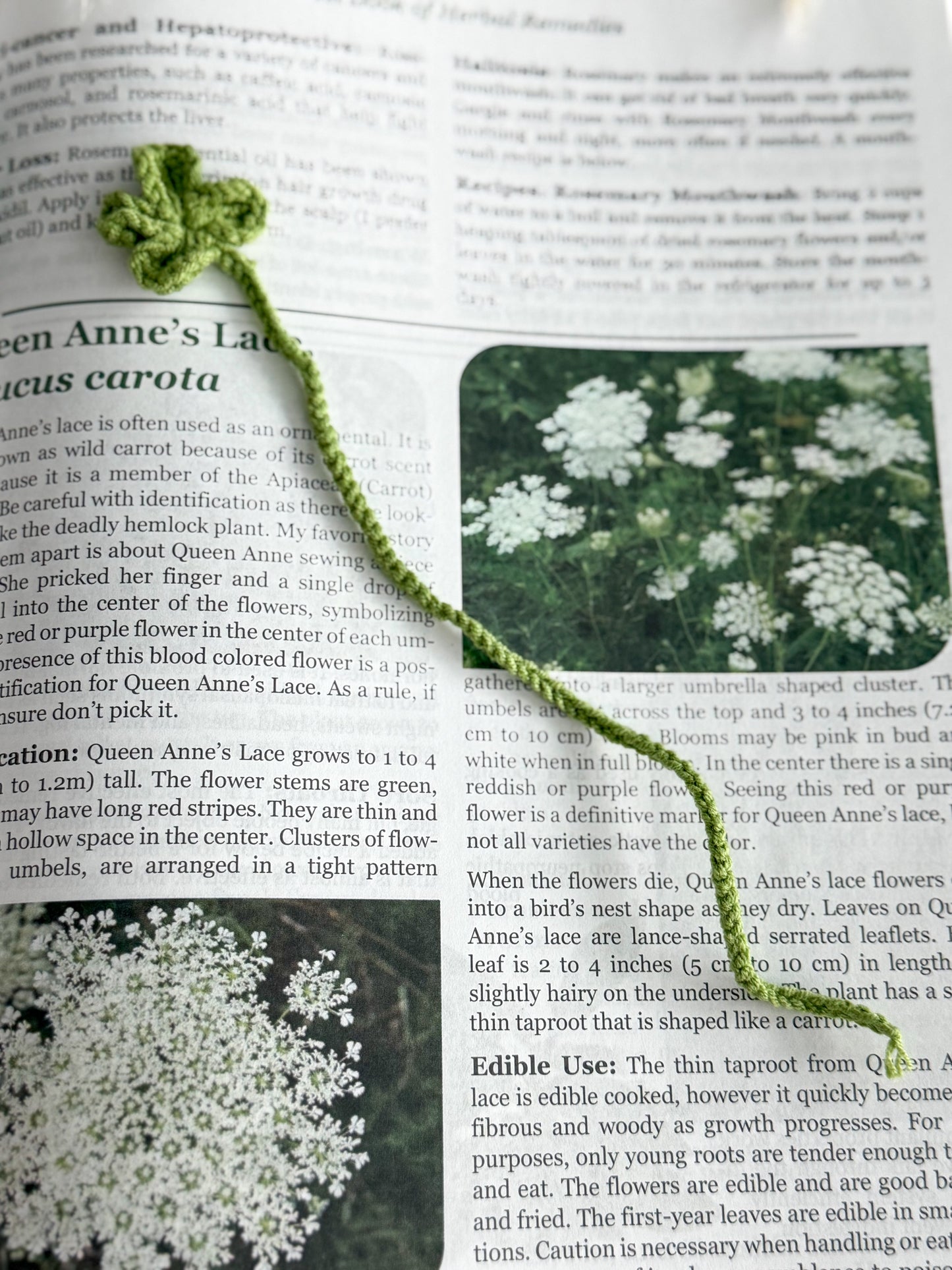 Dainty Crochet Bookmark "Clover"
