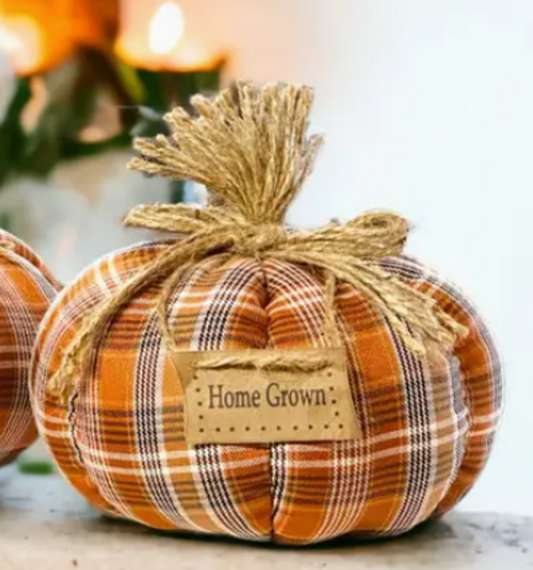 Org Plaid Pumpkin