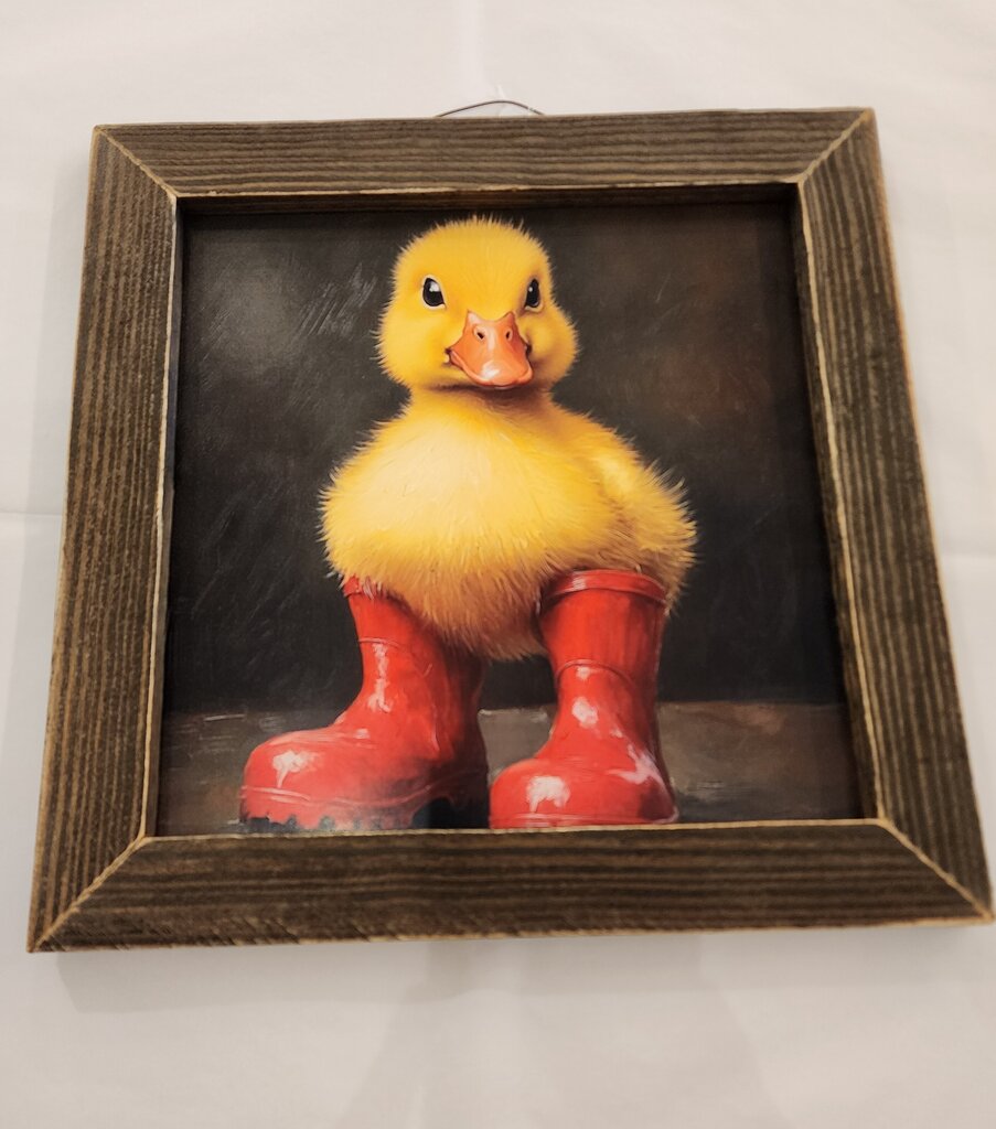 Duck Rainboots
