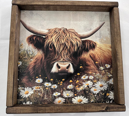 Highlander Fieldflowers