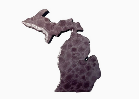 M6- Magnet- Mi Petoskey