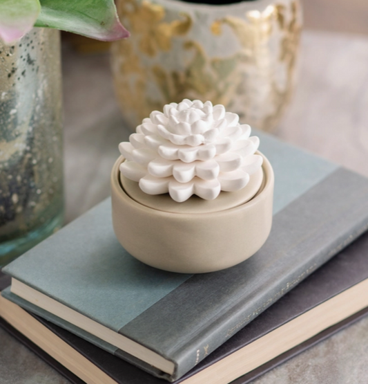 Succulent Porcelain Diffuser
