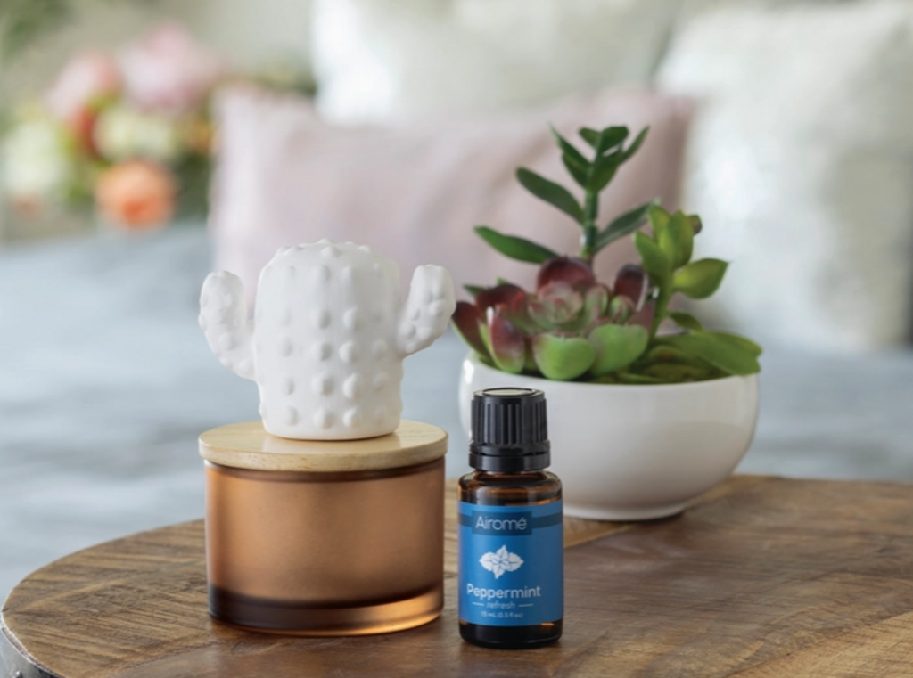 Cactus Porcelain Diffuser