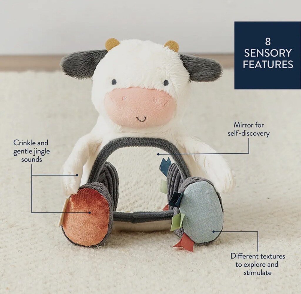 Itzy Ritzy Cow Mirror