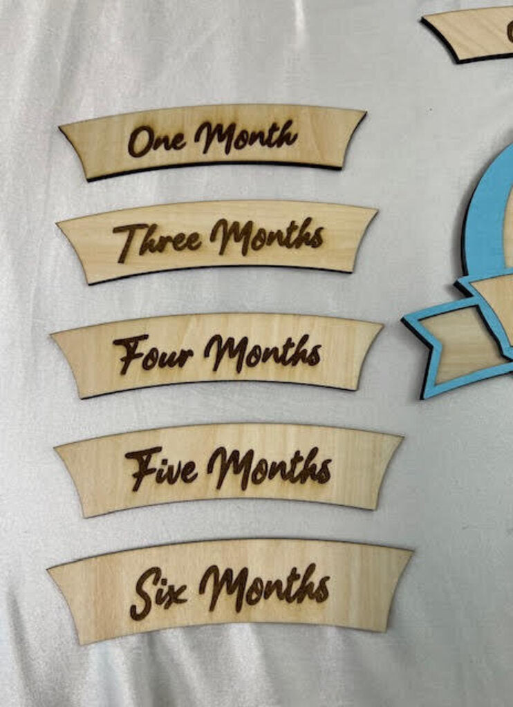 Blue Hot Air Balloon Baby Monthly Milestone Set