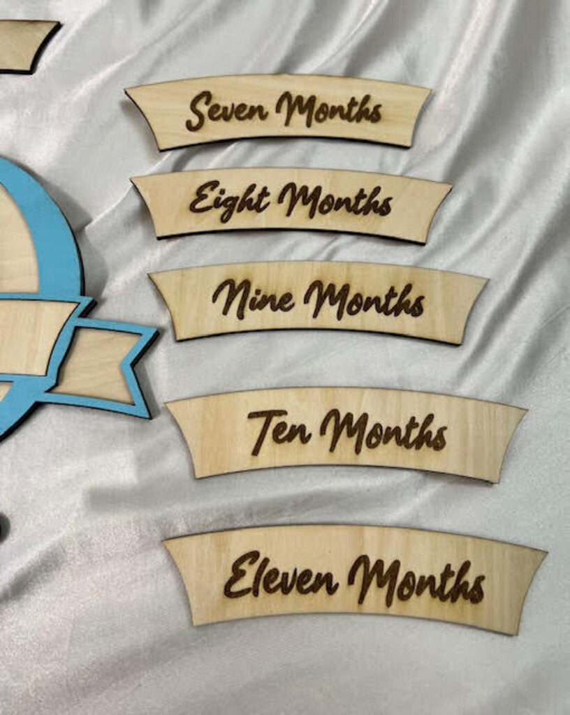 Blue Hot Air Balloon Baby Monthly Milestone Set