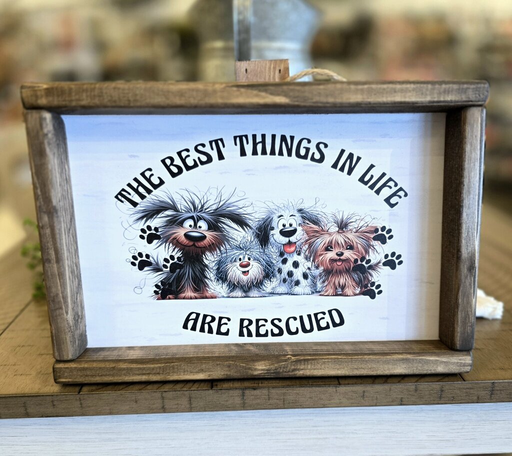 Best Things in Life Are Rescued