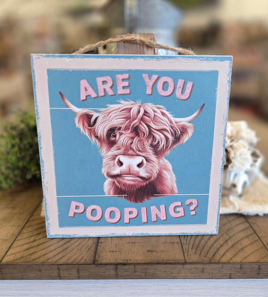 Are You Pooping Hanging Sign