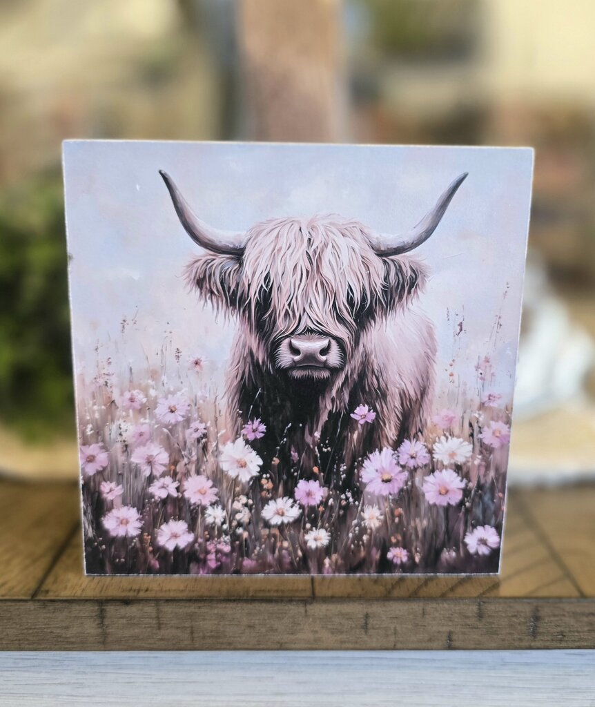 Pink Flower Field Highlander