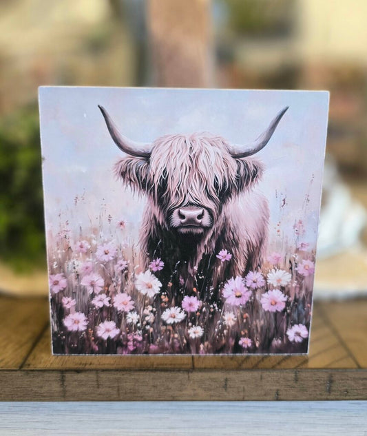 Pink Flower Field Highlander