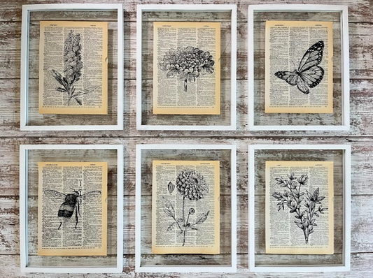 Natalie Adora Vintage Dictionary Prints