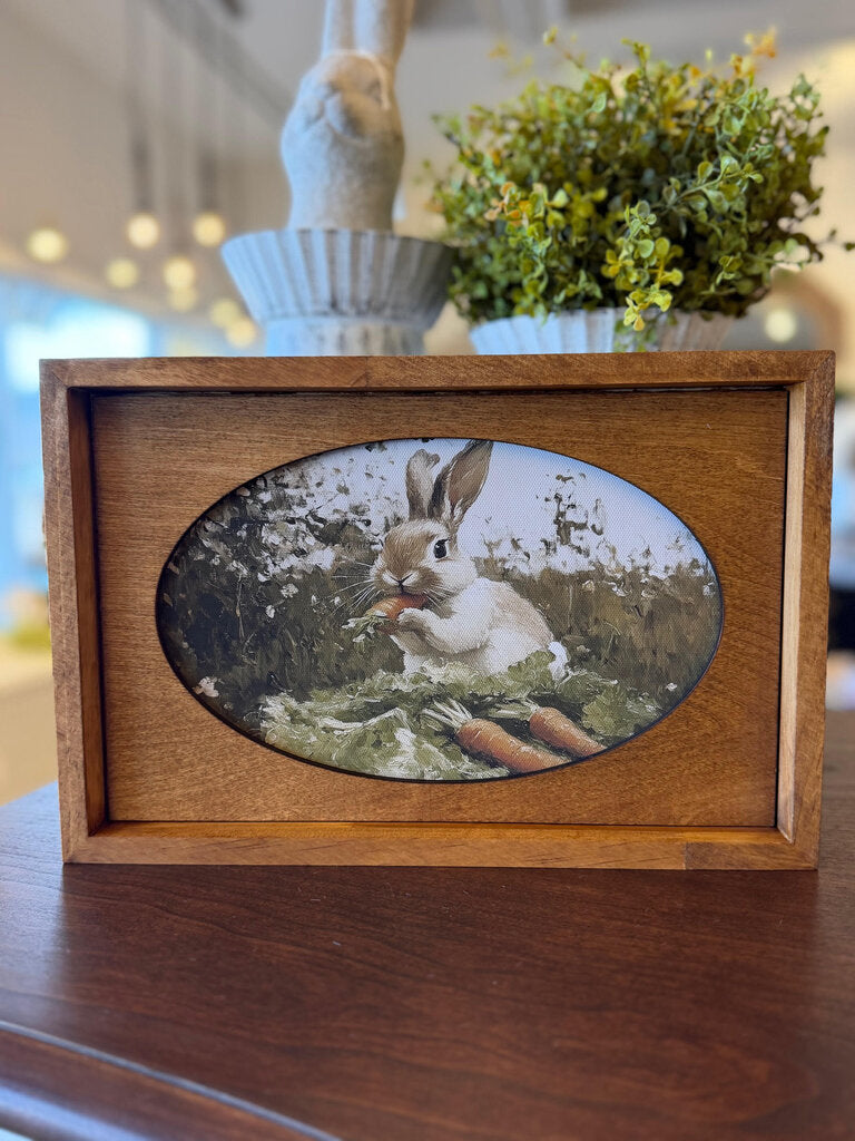 Bunny with Carrot Framed Art