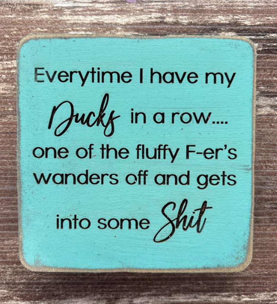 Everytime I have my ducks in a row 4x4