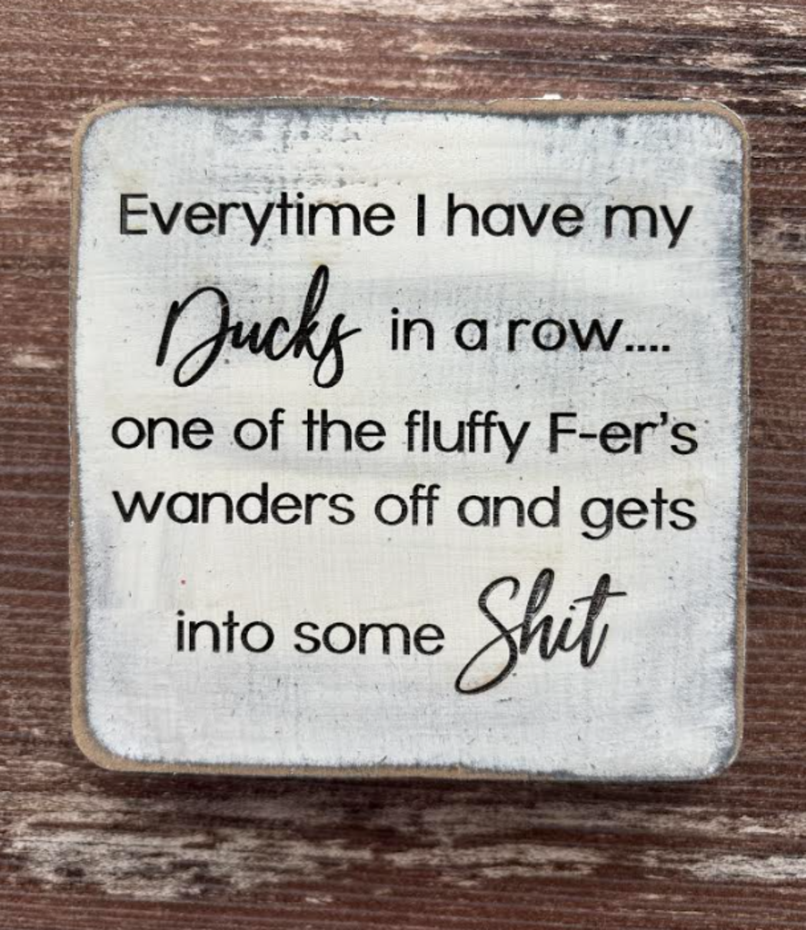 Everytime I have my ducks in a row 4x4