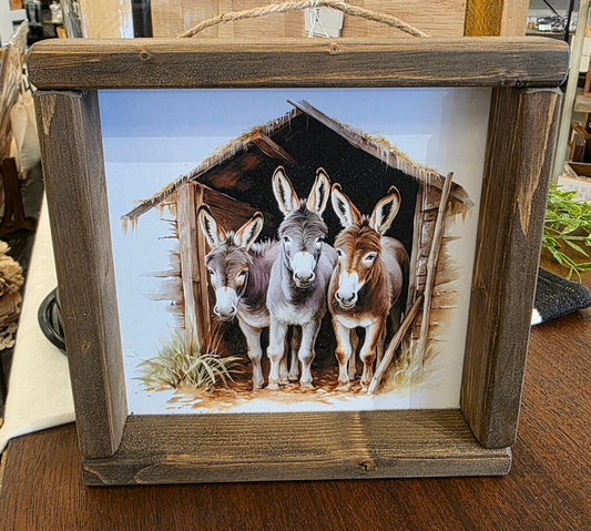 Donkey Friends