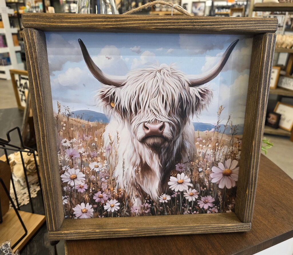 White Highlander Flower Field