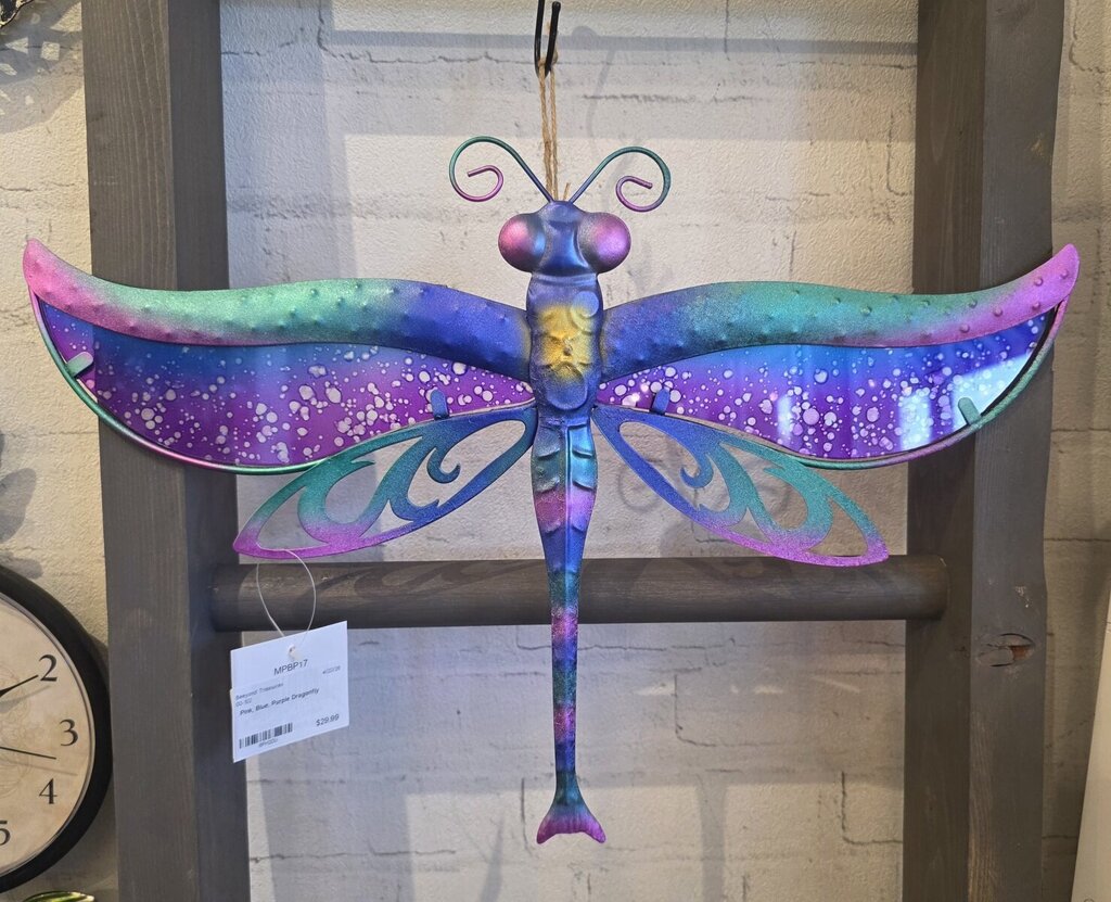 Pink, Blue, Purple Dragonfly