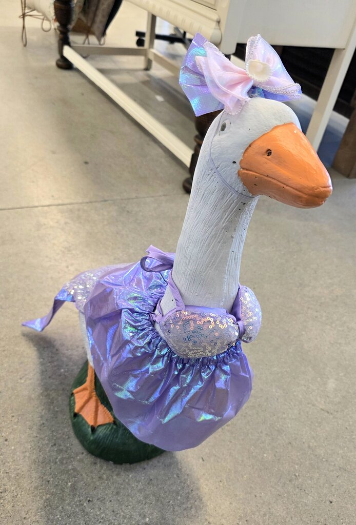 Mermaid Goose Outfit
