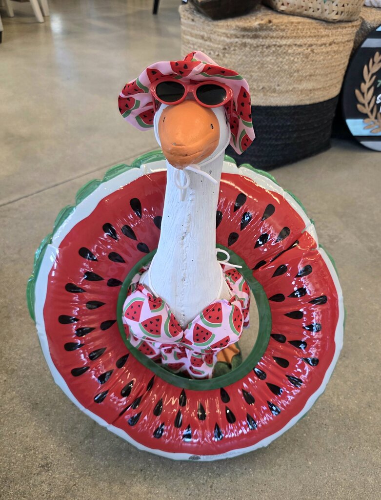 Watermelon Goose Outfit