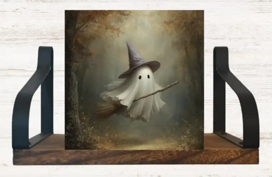 Ghost Flying Broomstick