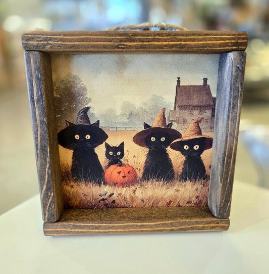 Cats in Field