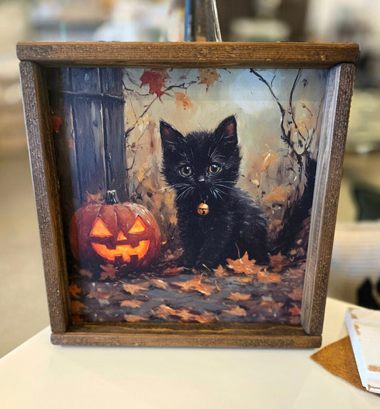 Black Cat Jack o Lantern