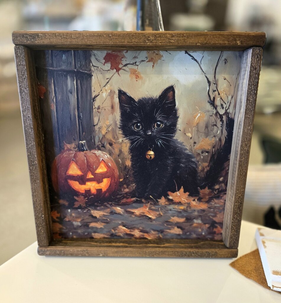 Black Cat Jack o Lantern