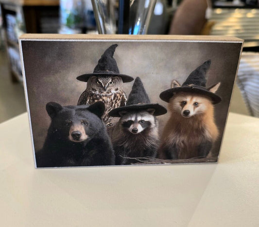 Fall Witch Animals