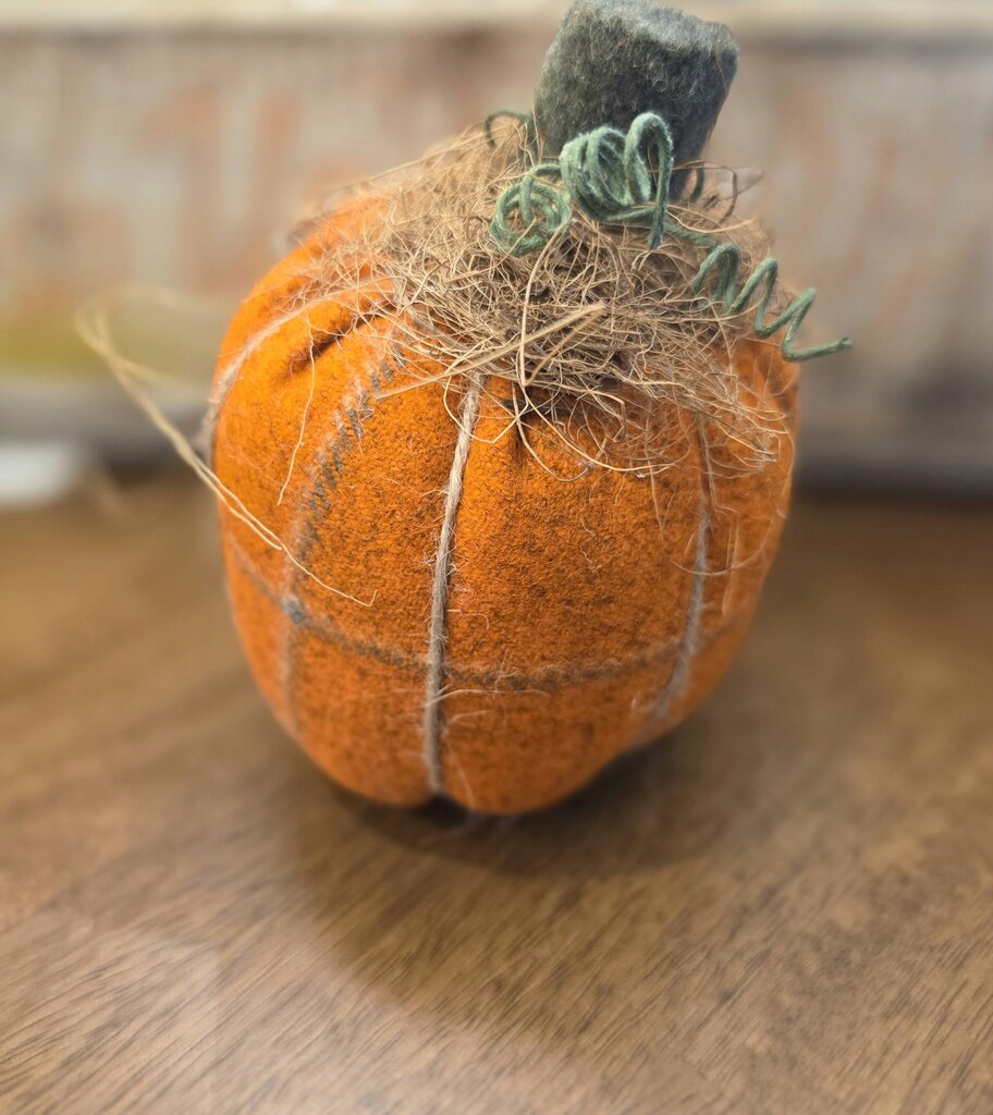 Chenille Mixed Pumpkin