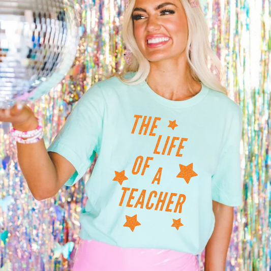 Life of a teacher