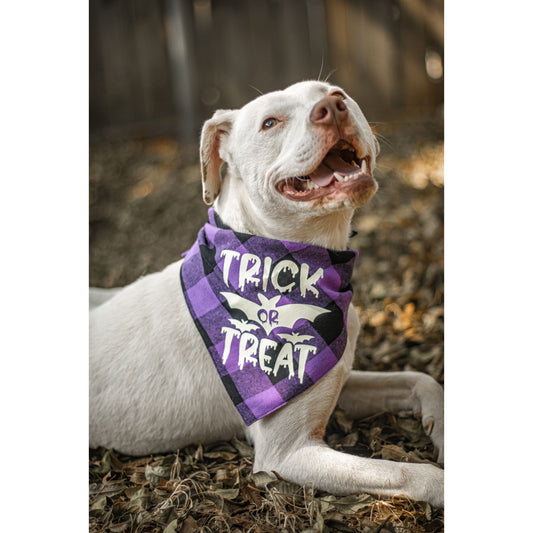 Ready to Ship | Halloween Dog Triangle Collar/Scarf*