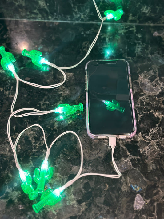 "Cactus Fun" iPhone Charger