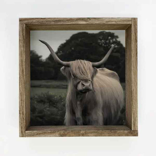 Black & White Highland Cow Canvas Wood Sign
