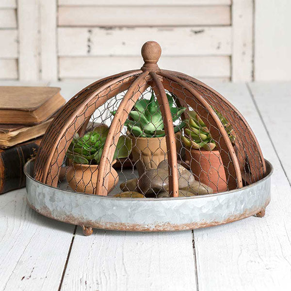 Round Tray with Chicken Wire Cloche